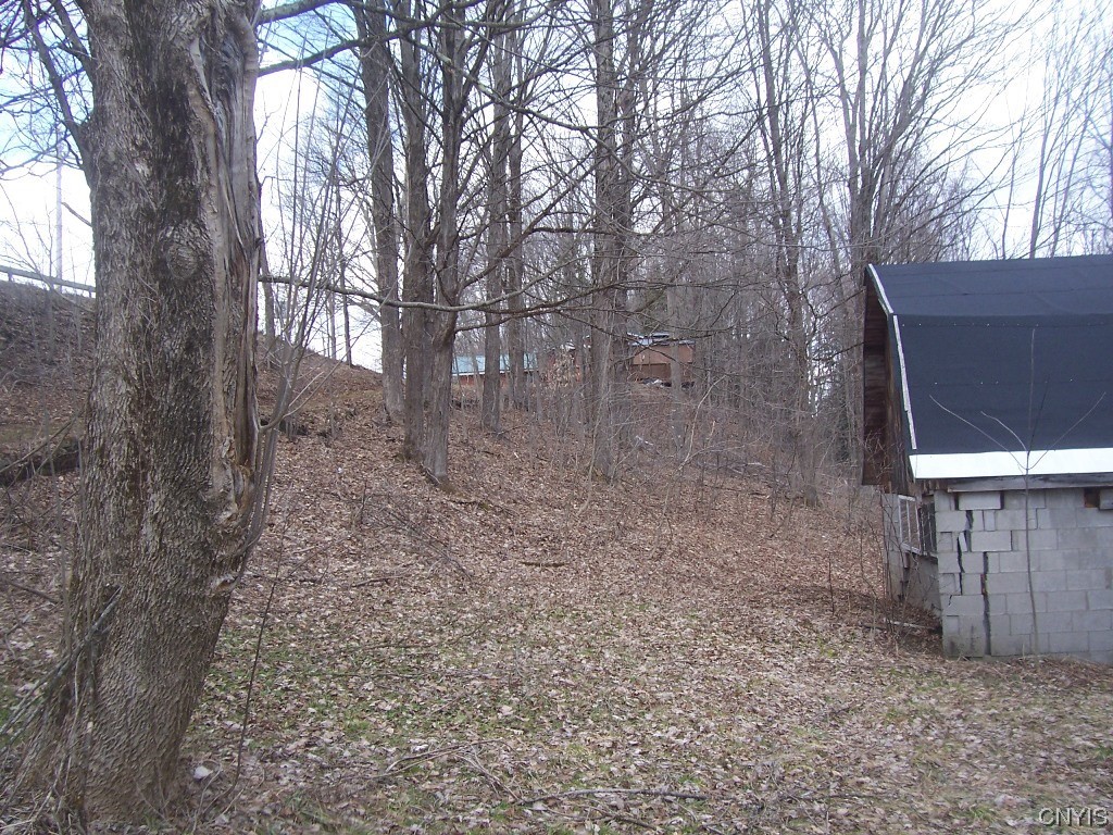 8798 Kiwanis Road Lee, NY 13440 - Photo 16 of 19 Walking Path To Barn & Garage