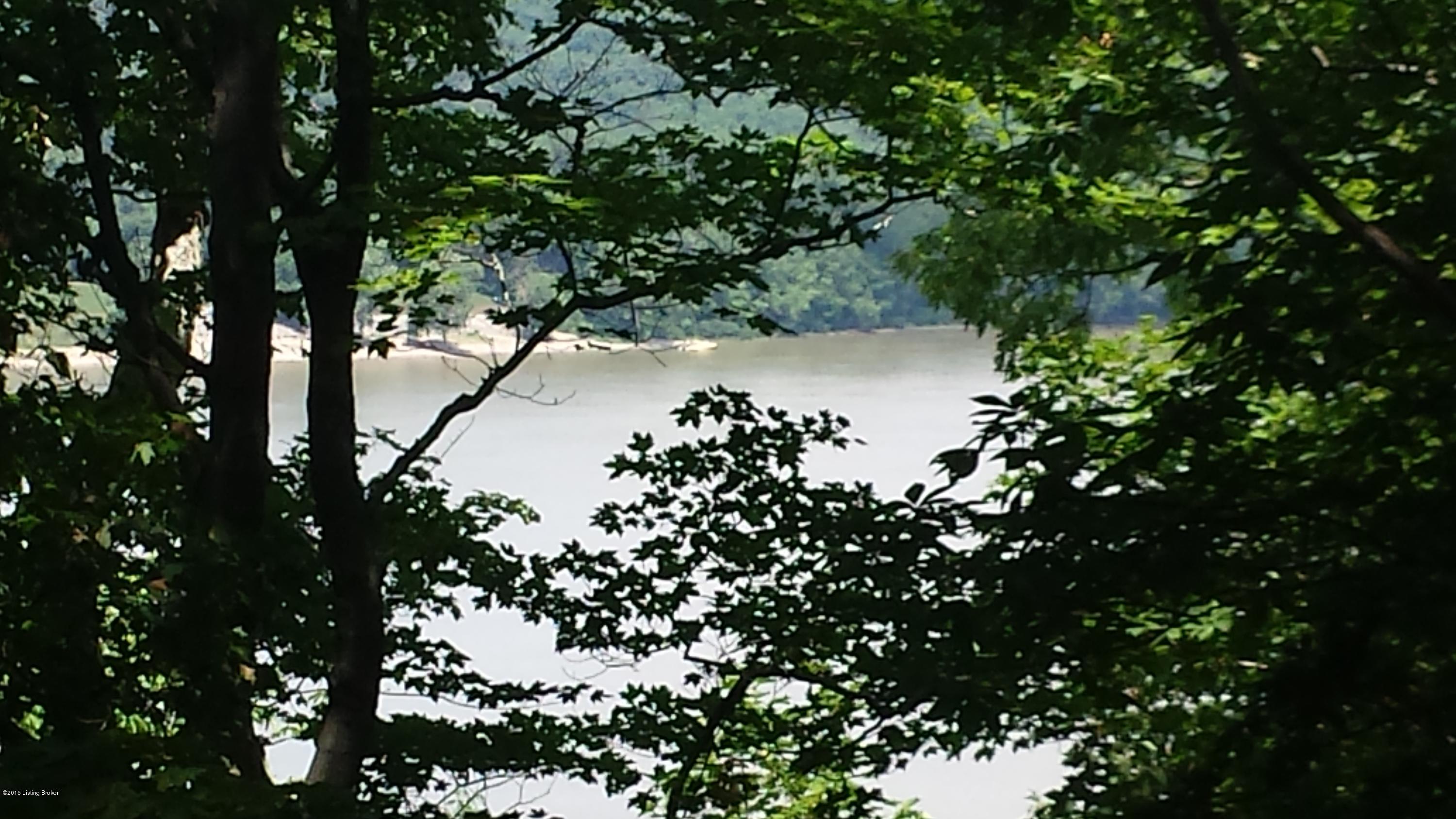 Awesome upper view of the River