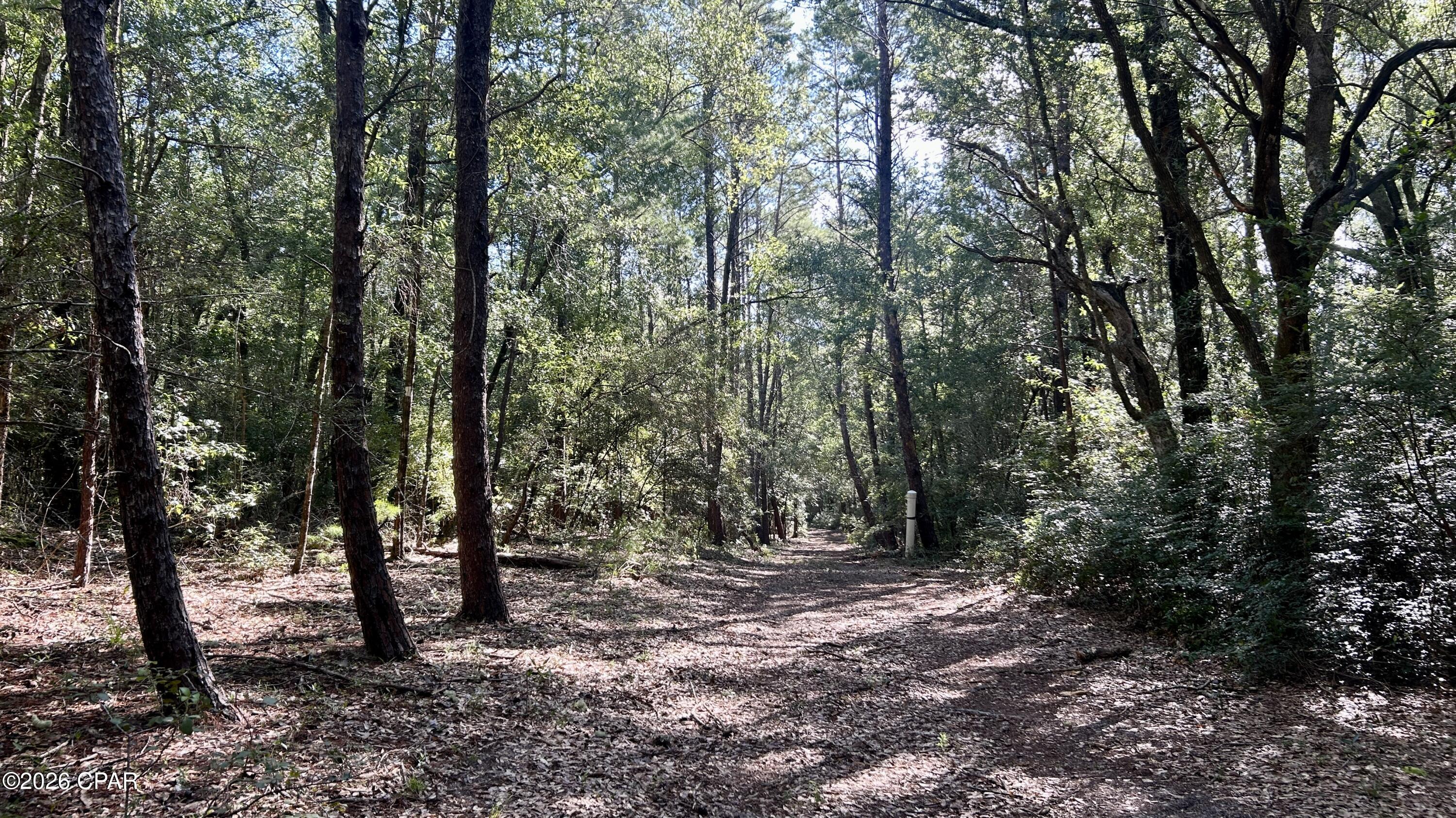 A Trawick Creek Road Holt, FL 32564 - Photo 19 of 33 Gallery Image 19