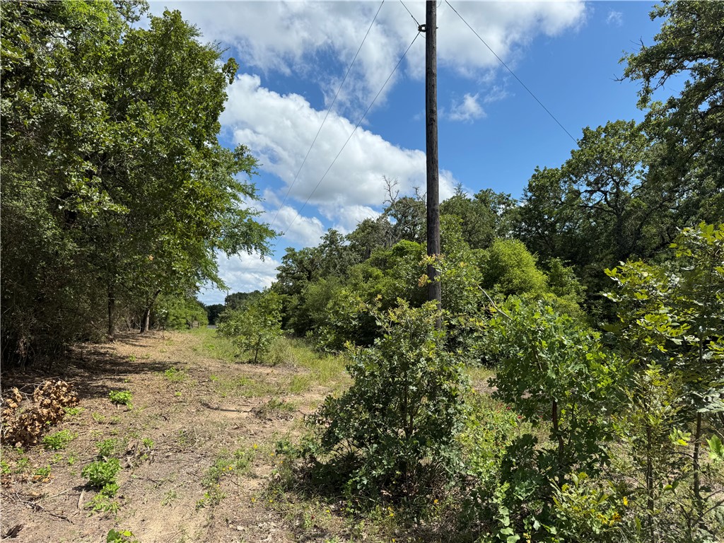 Tbd Pin Oak Road Franklin, TX 77856 - Photo 9 of 11 Electricity & Water R.O.W at the front of the 7.5 Ac