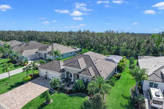 a view of a garden with plants and large trees