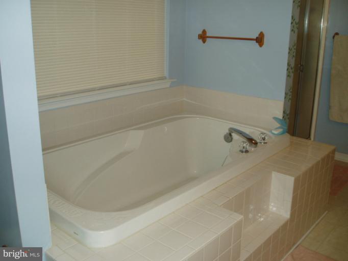 12317 Rashad Circle Lusby, MD 20657 - Photo 25 of 30 Soaking Tub