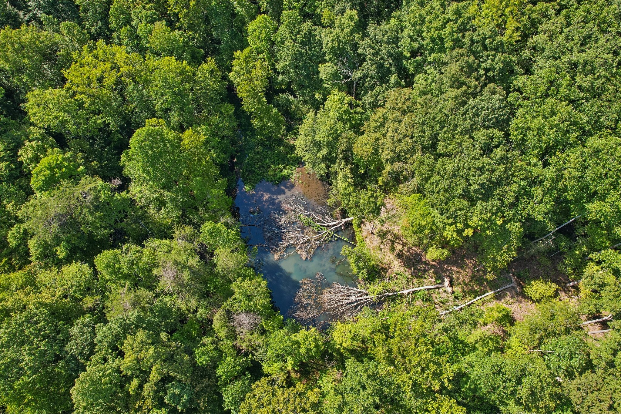 1071 Simms Heights Road Kingston Springs, TN 37082 - Photo 72 of 80 Gallery Image 72
