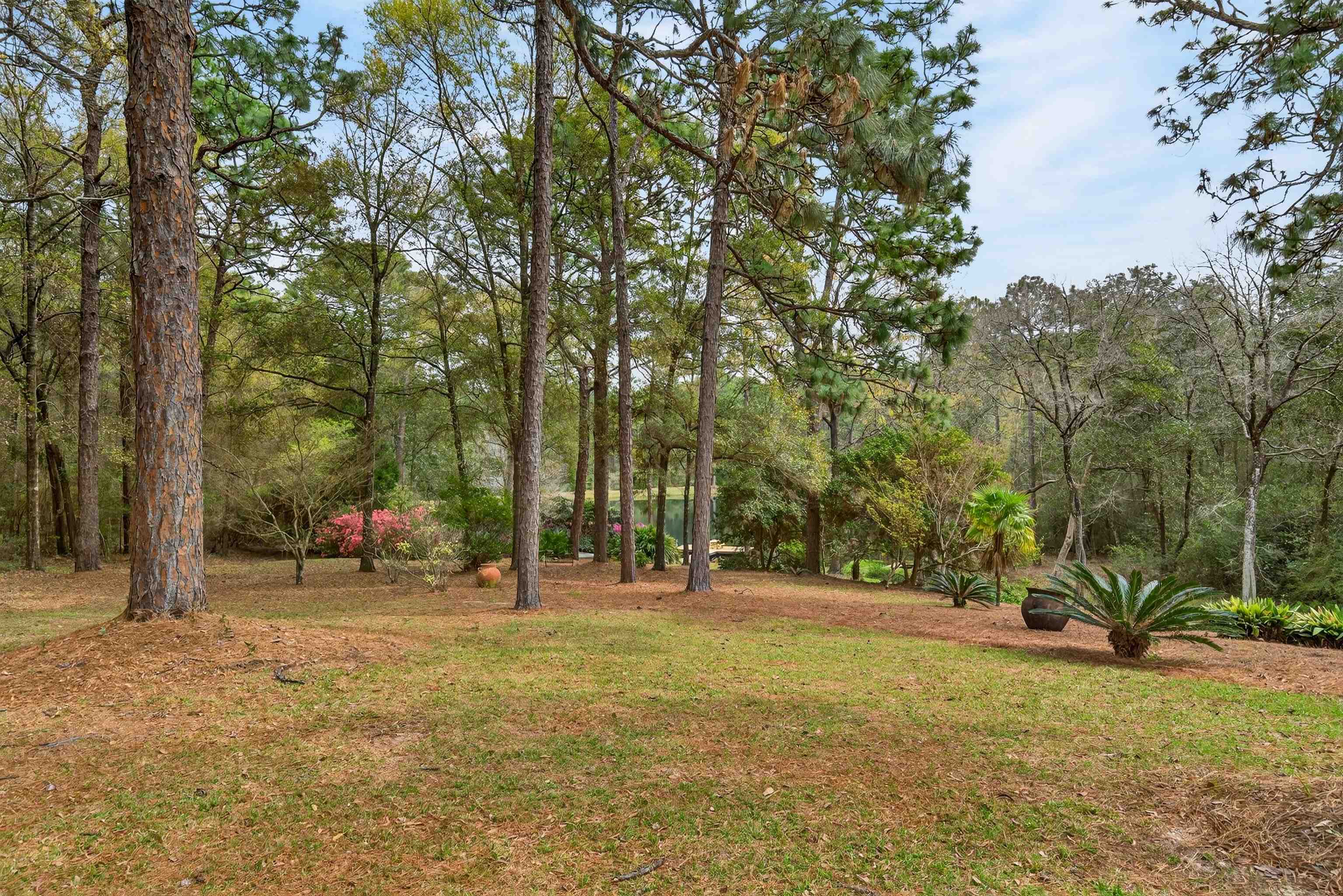 3175 Dawes Lake Road Mobile, AL 36619 - Photo 68 of 92 Yard