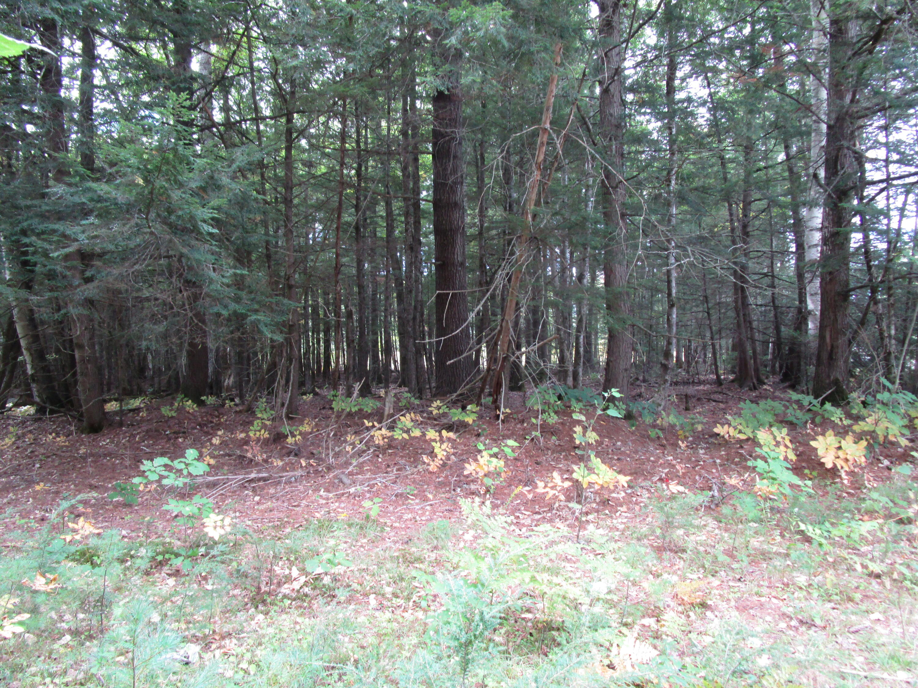 2 North Howland Road Northwest Howland, ME 04448 - Photo 6 of 7 IMG_1372
