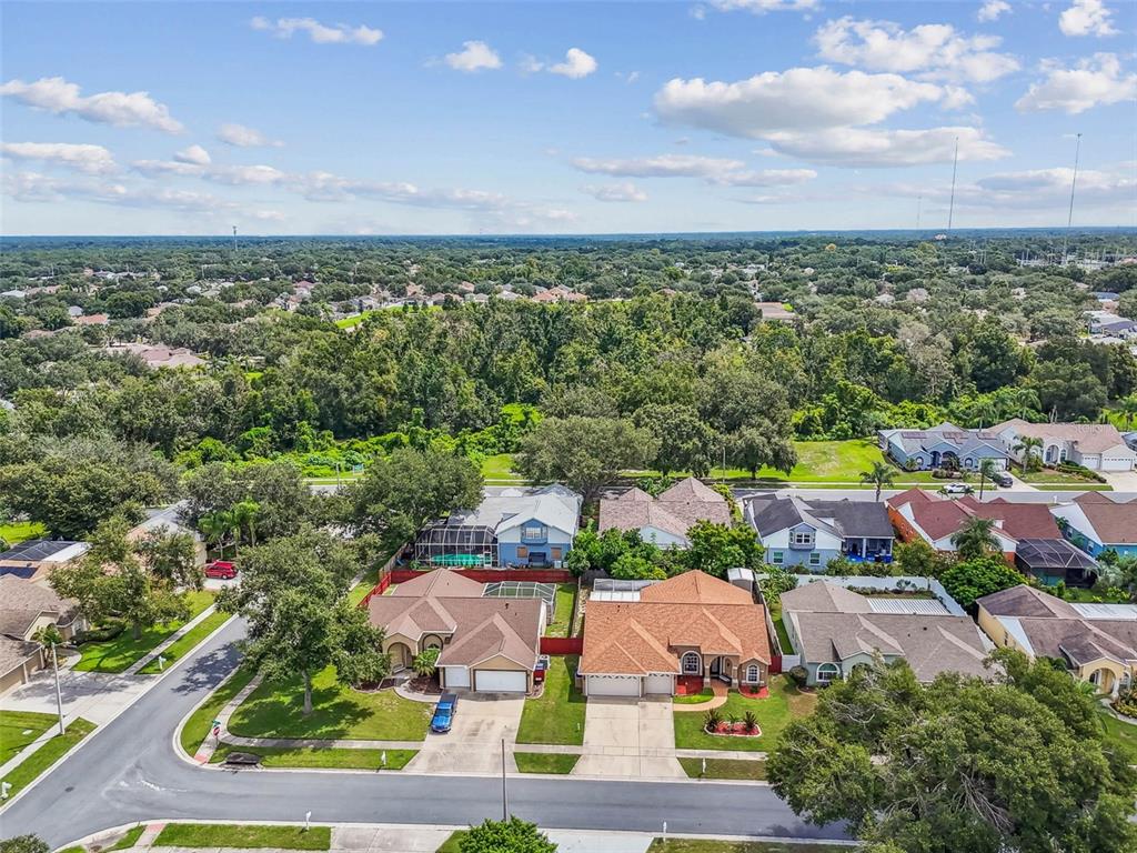 9804 Ocasta Street Riverview, FL 33569 - Photo 75 of 80 an aerial view of multiple house