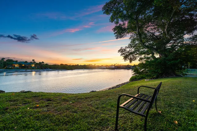 a view of a lake from a yard