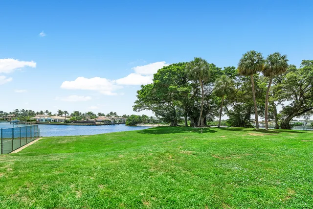 a view of a big yard with swimming pool and green space