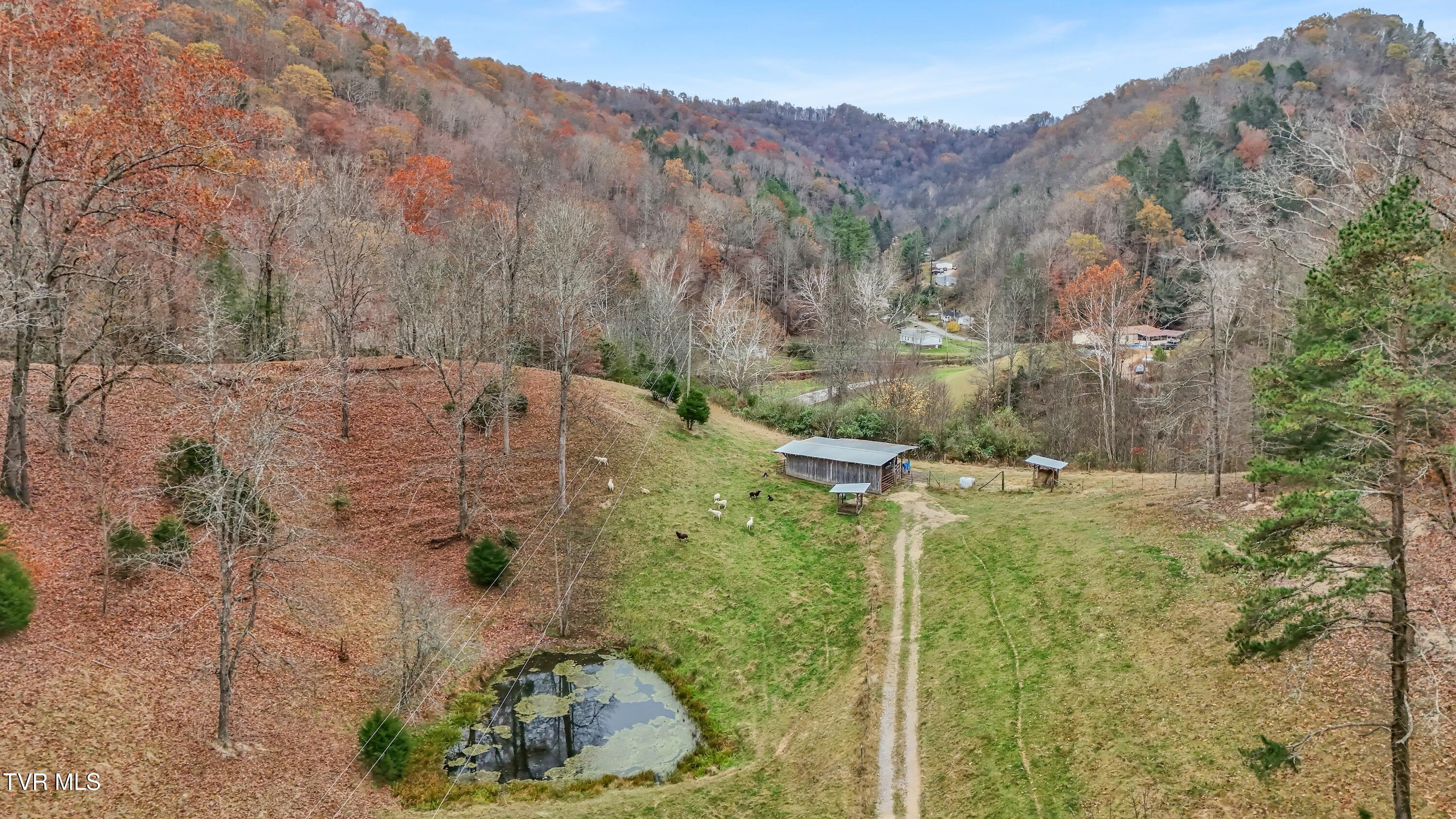6790 Coeburn Road Coeburn, VA 24230 - Photo 25 of 33 Pond View