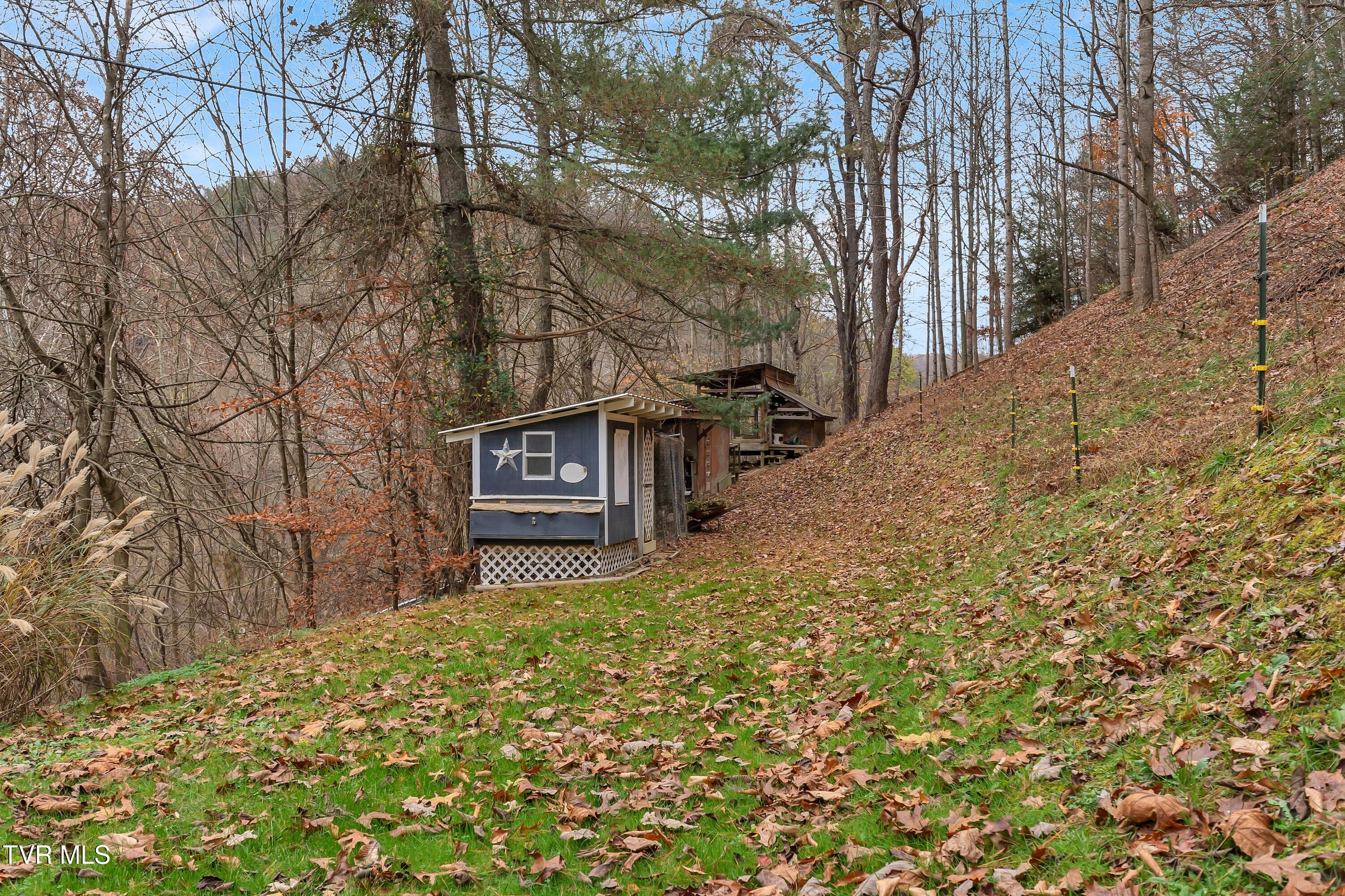 6790 Coeburn Road Coeburn, VA 24230 - Photo 27 of 33 Side View with Storage
