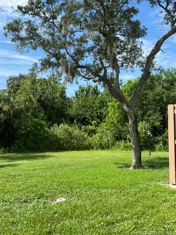 a view of a garden with trees