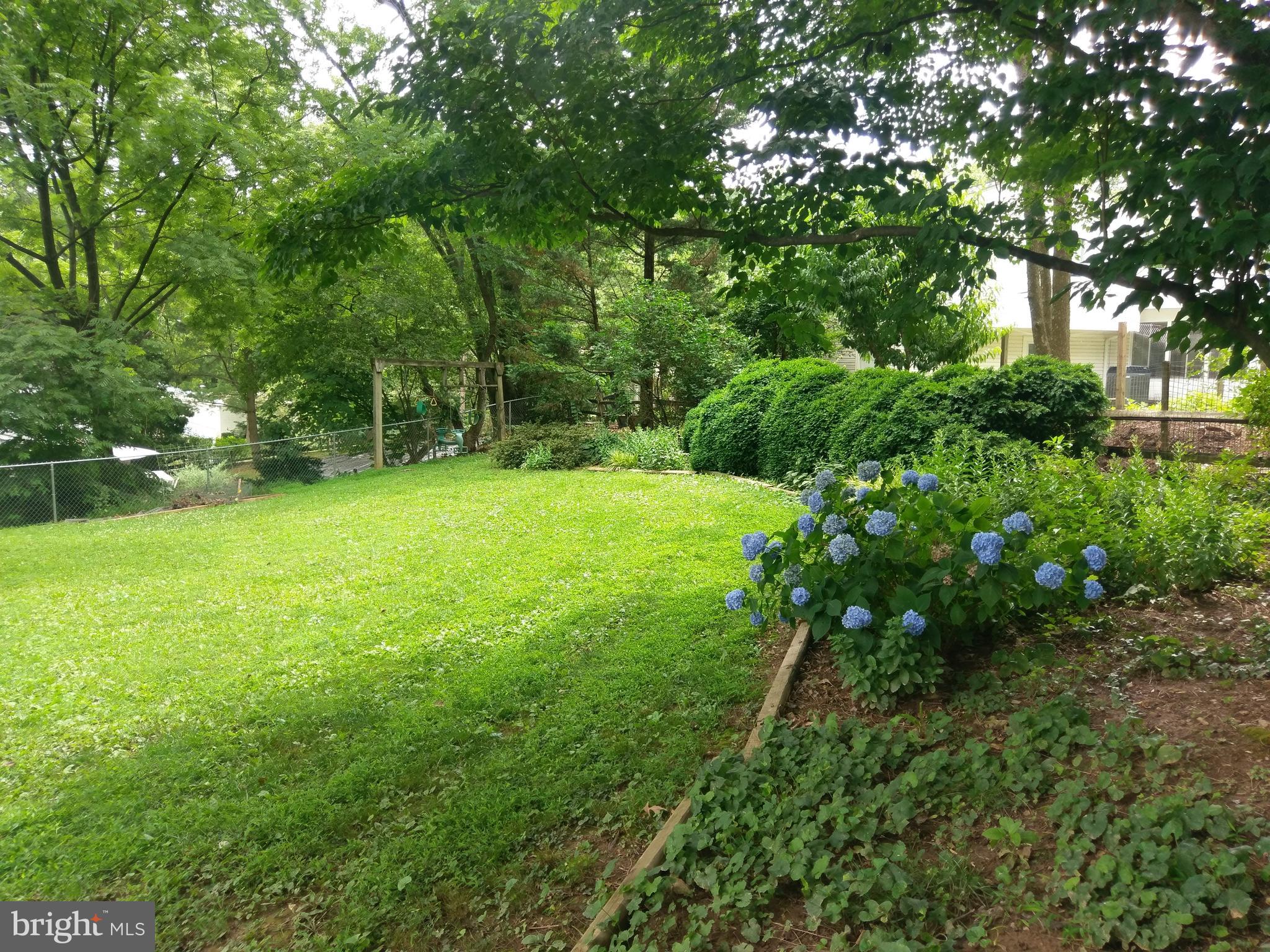 9840 Moyer Road Damascus, MD 20872 - Photo 11 of 20 landscaping in side and back yard