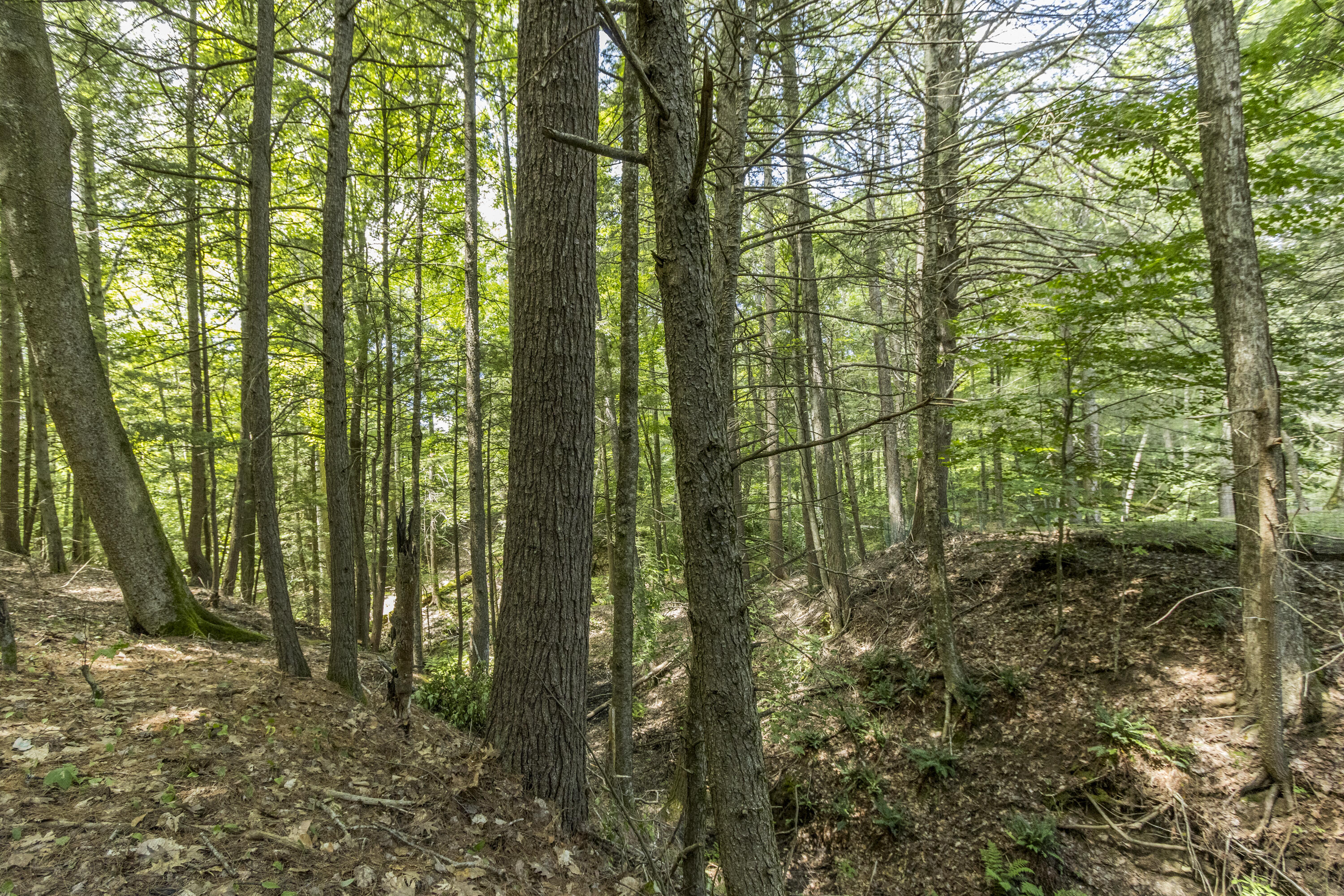 7 Merrill Road Freeport, ME 04032 - Photo 66 of 68 20240712MD-71080