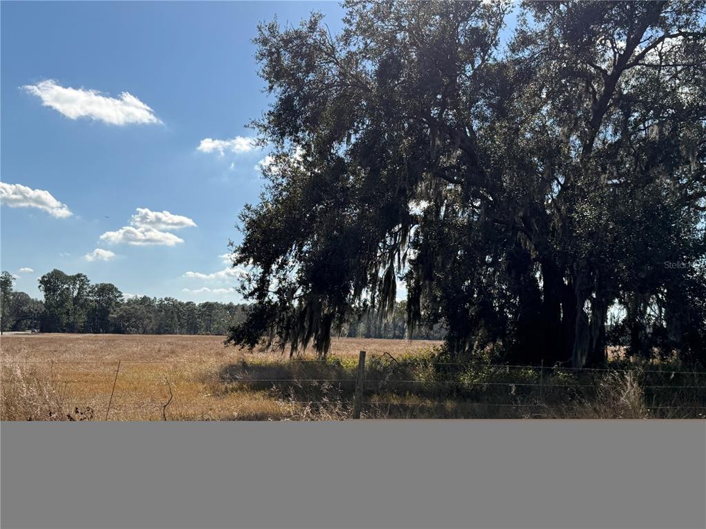 Lake Erie Road Clermont, FL 34714 - Photo 4 of 14 a view of a yard