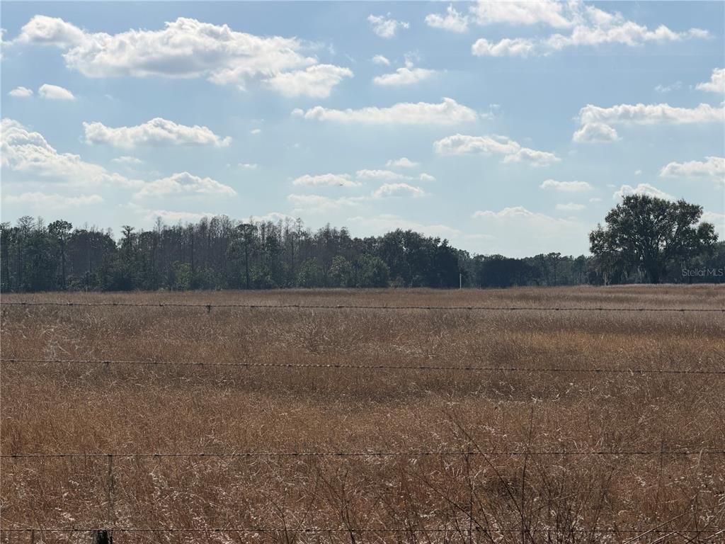 Lake Erie Road Clermont, FL 34714 - Photo 6 of 14 a view of a field of grass and trees