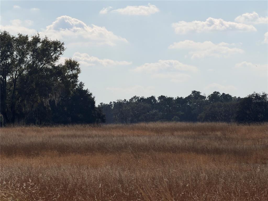 Lake Erie Road Clermont, FL 34714 - Photo 7 of 14 a view of mountain with lake view