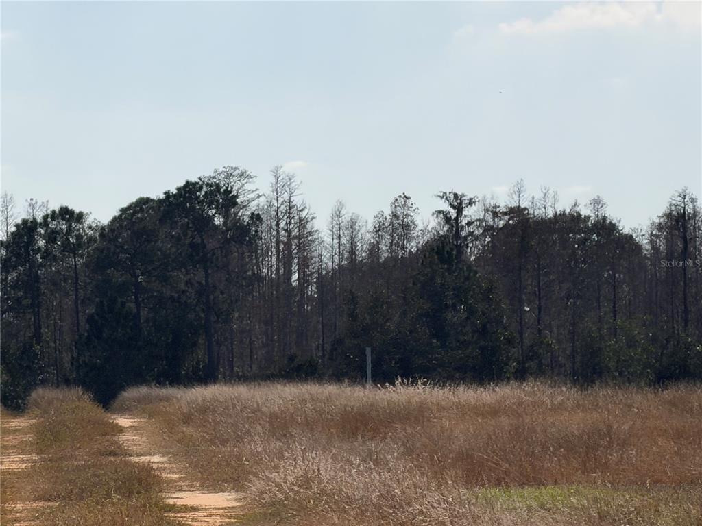 Lake Erie Road Clermont, FL 34714 - Photo 8 of 14
