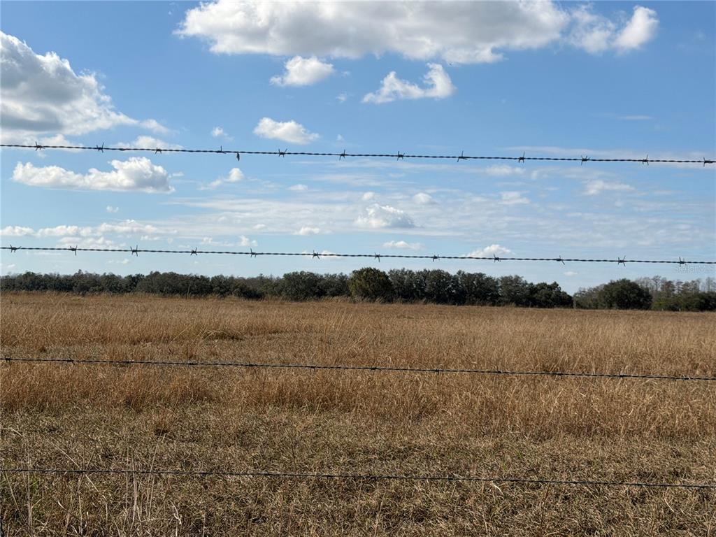 Lake Erie Road Clermont, FL 34714 - Photo 10 of 14 a view of lake