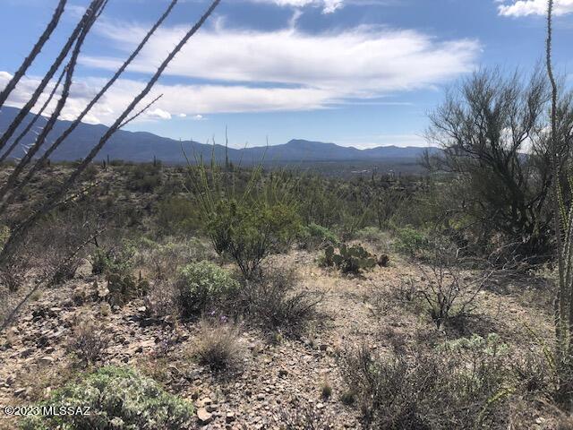 East Rincon Creek Ranch Road, Unit C Tucson, AZ 85747 - Photo 5 of 12 Gallery Image 5