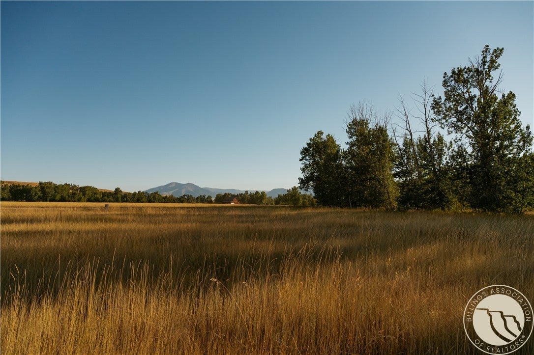 308 Two Mile Bridge Road Roberts, MT 59070 - Photo 1 of 5 Gallery Image 1