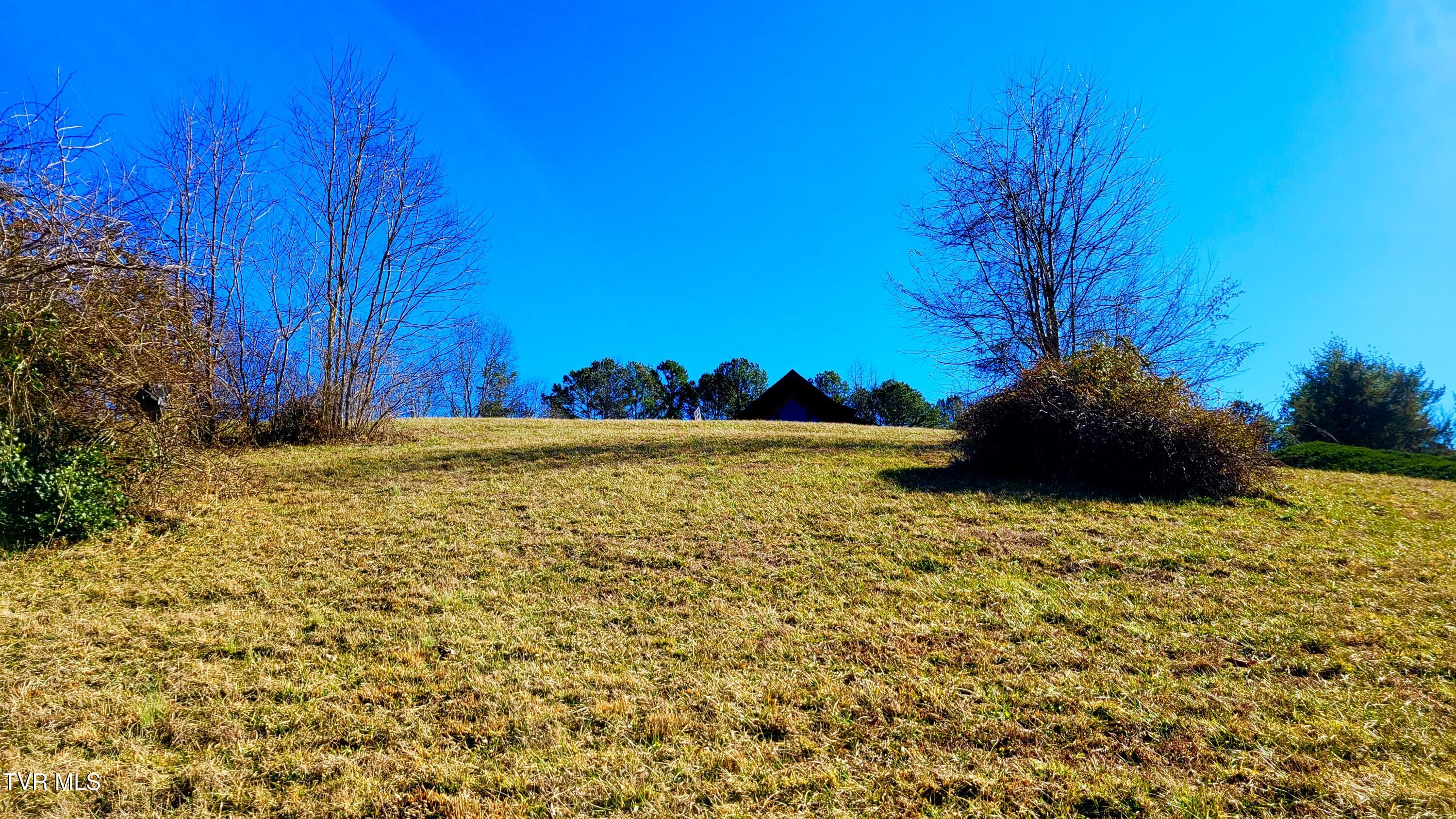 Lot 87 Harbour View Road, Unit 87 Butler, TN 37640 - Photo 1 of 30 lotview87 (3)