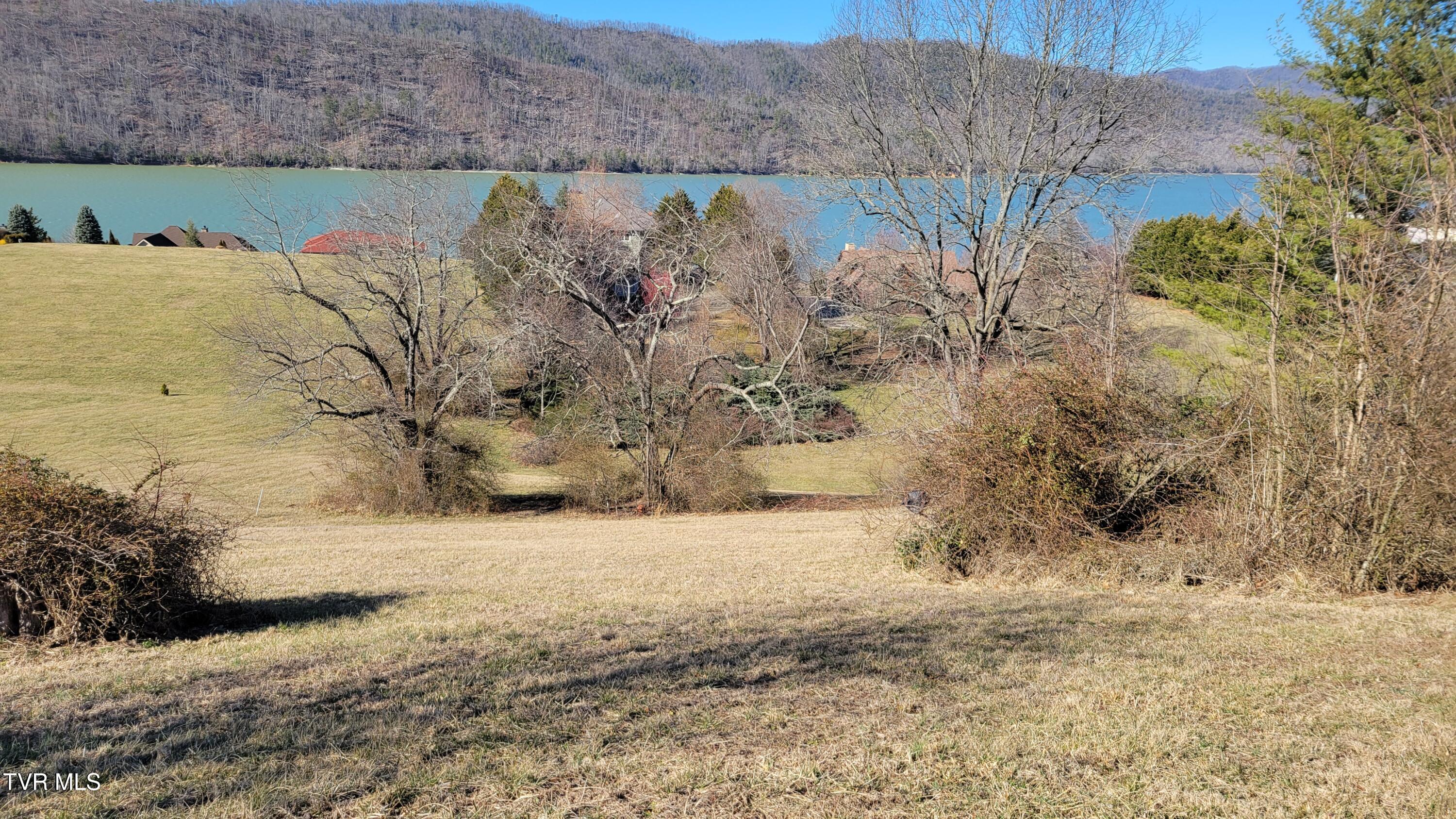 Lot 87 Harbour View Road, Unit 87 Butler, TN 37640 - Photo 13 of 30 roadsideview87