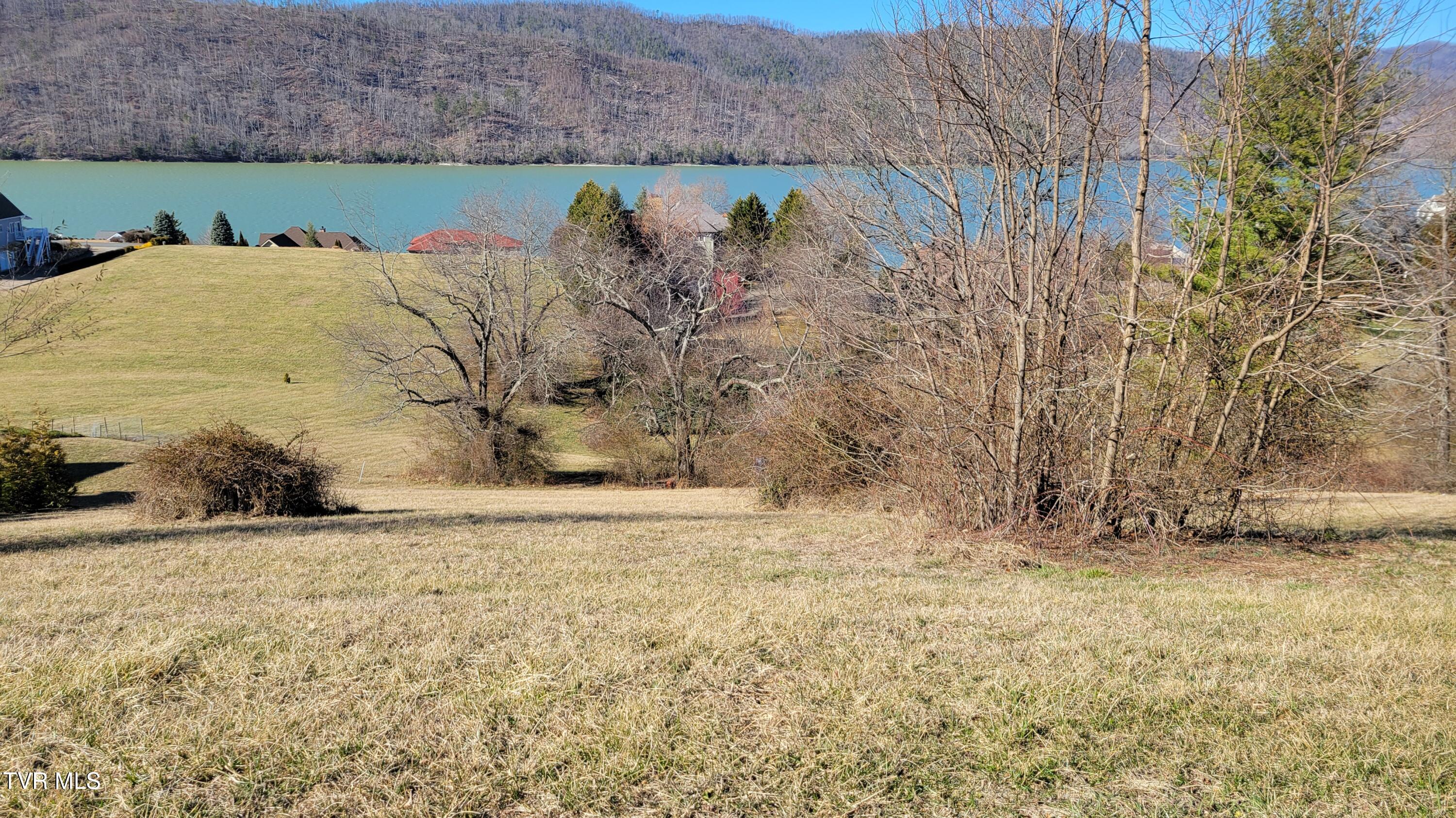 Lot 87 Harbour View Road, Unit 87 Butler, TN 37640 - Photo 14 of 30 roafside87