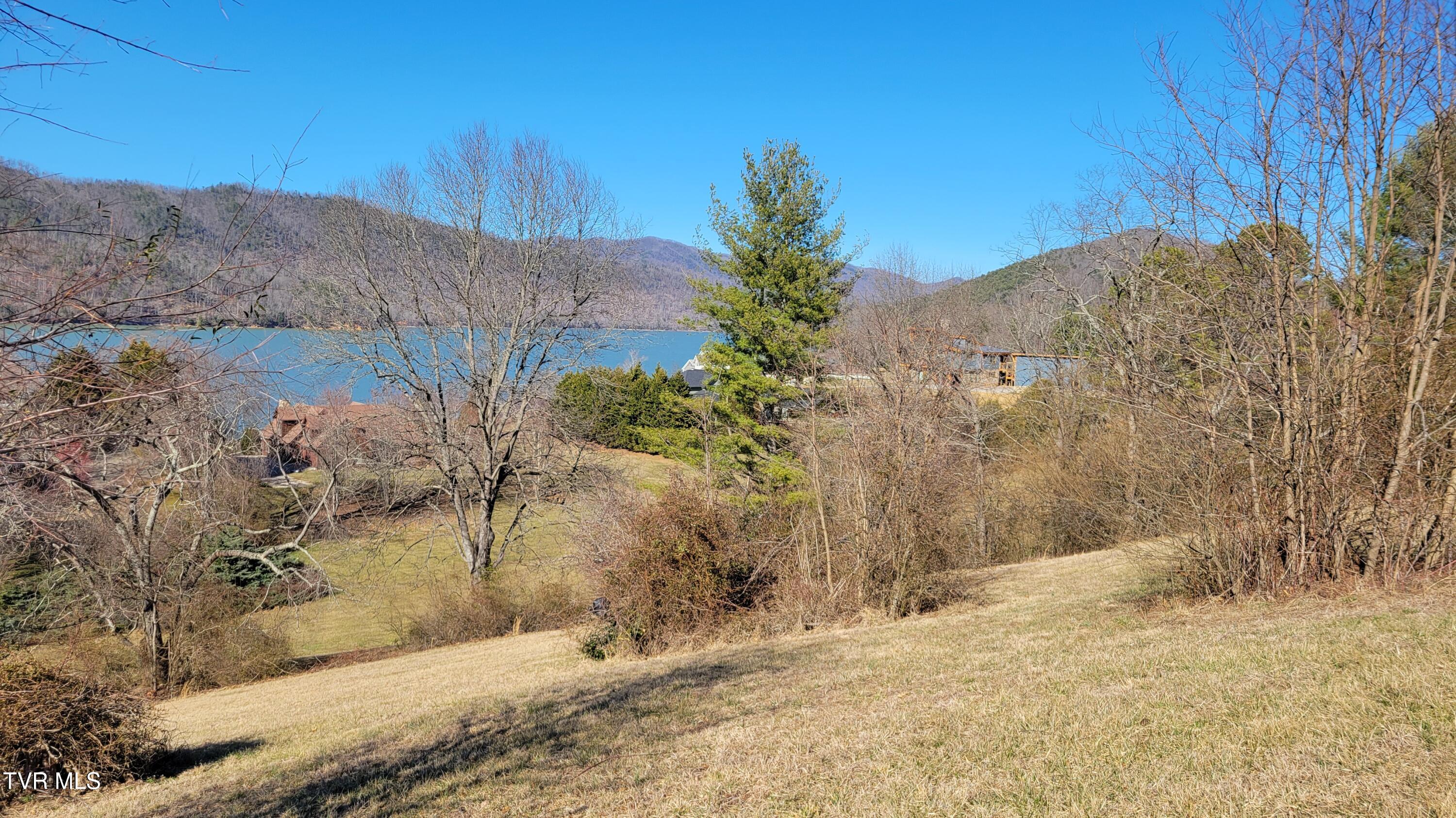 Lot 87 Harbour View Road, Unit 87 Butler, TN 37640 - Photo 20 of 30 harbourlotangled