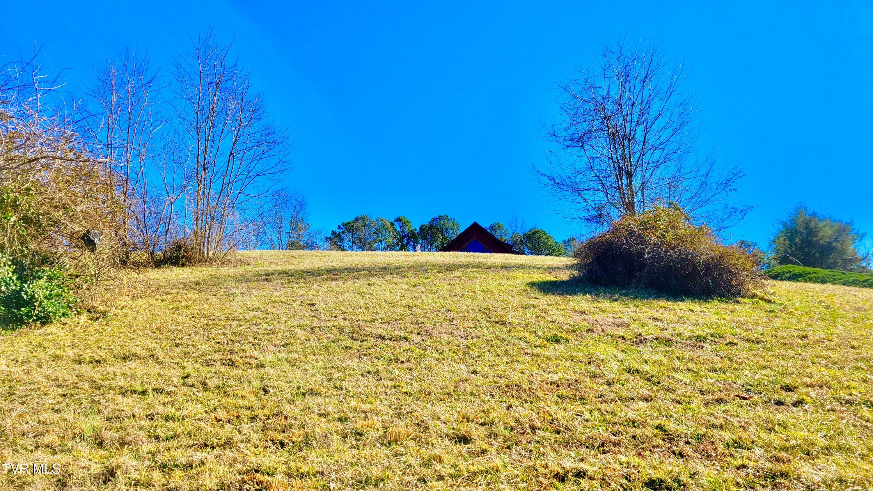 Lot 87 Harbour View Road, Unit 87 Butler, TN 37640 - Photo 4 of 30 lotview87 (2)