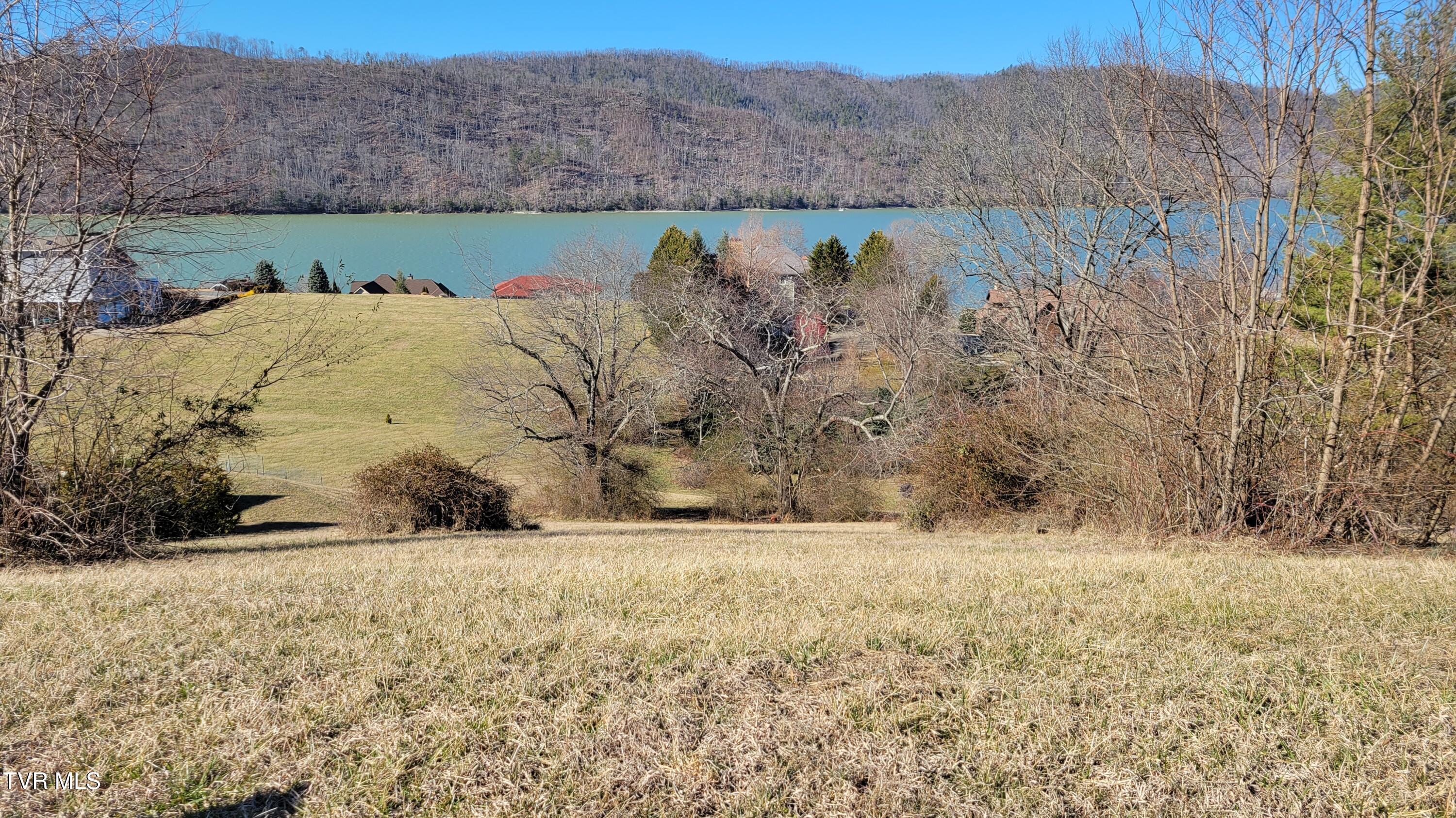 Lot 87 Harbour View Road, Unit 87 Butler, TN 37640 - Photo 8 of 30 fav87