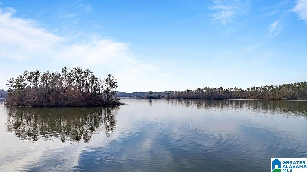2147 Eagle Mountain Road, Unit 12 Rockford, AL 35136 - Photo 18 of 22