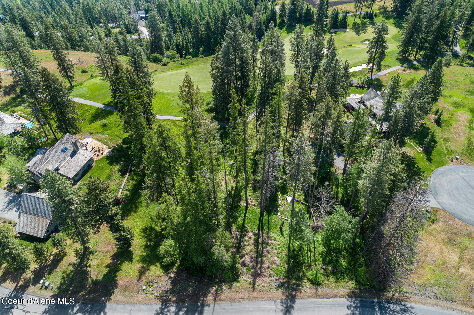 6528 South Old Barn Road Harrison, ID 83833 - Photo 2 of 18 Aerial_Lot207-1