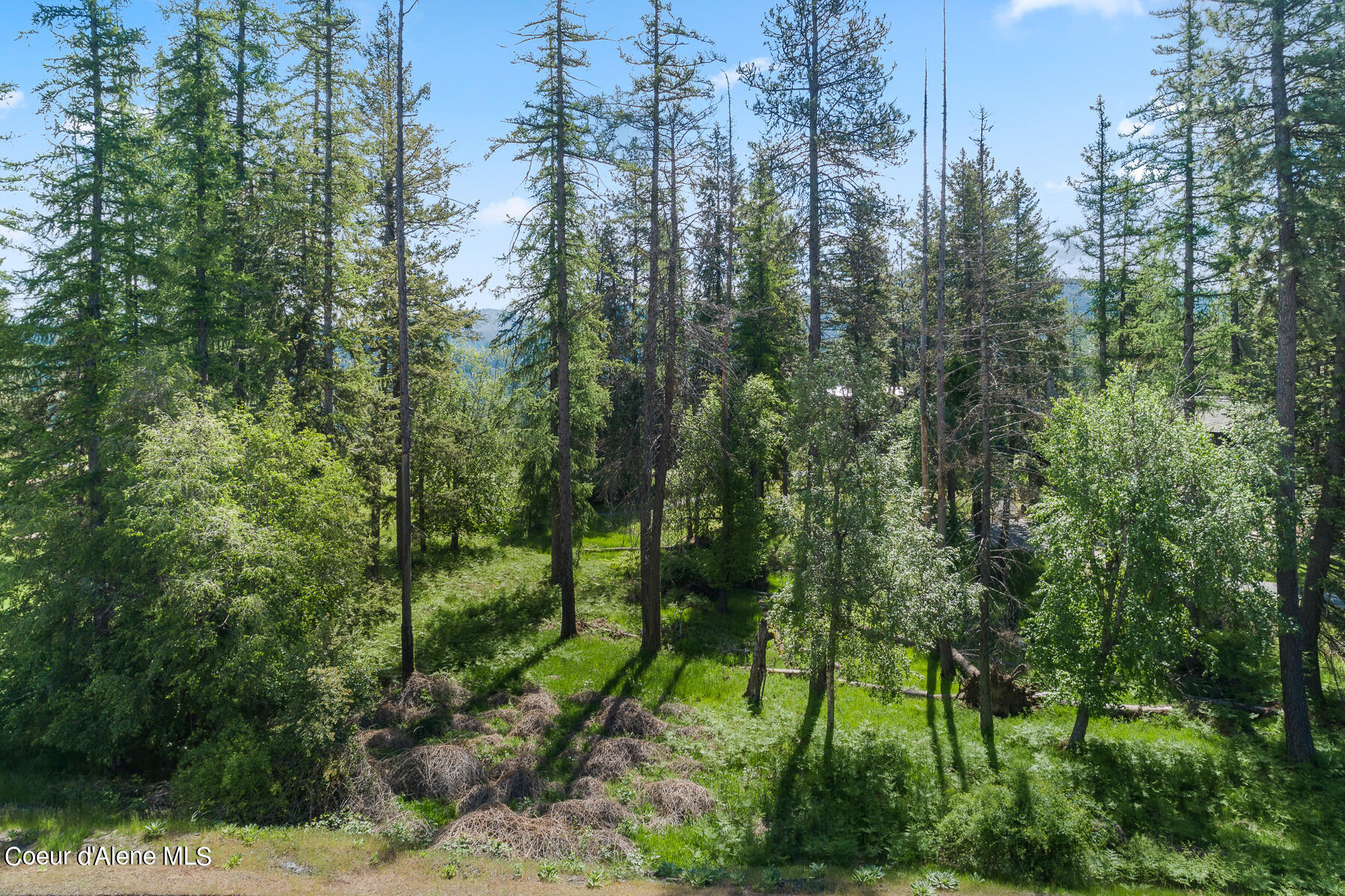 6528 South Old Barn Road Harrison, ID 83833 - Photo 6 of 18 Aerial_Lot207-3