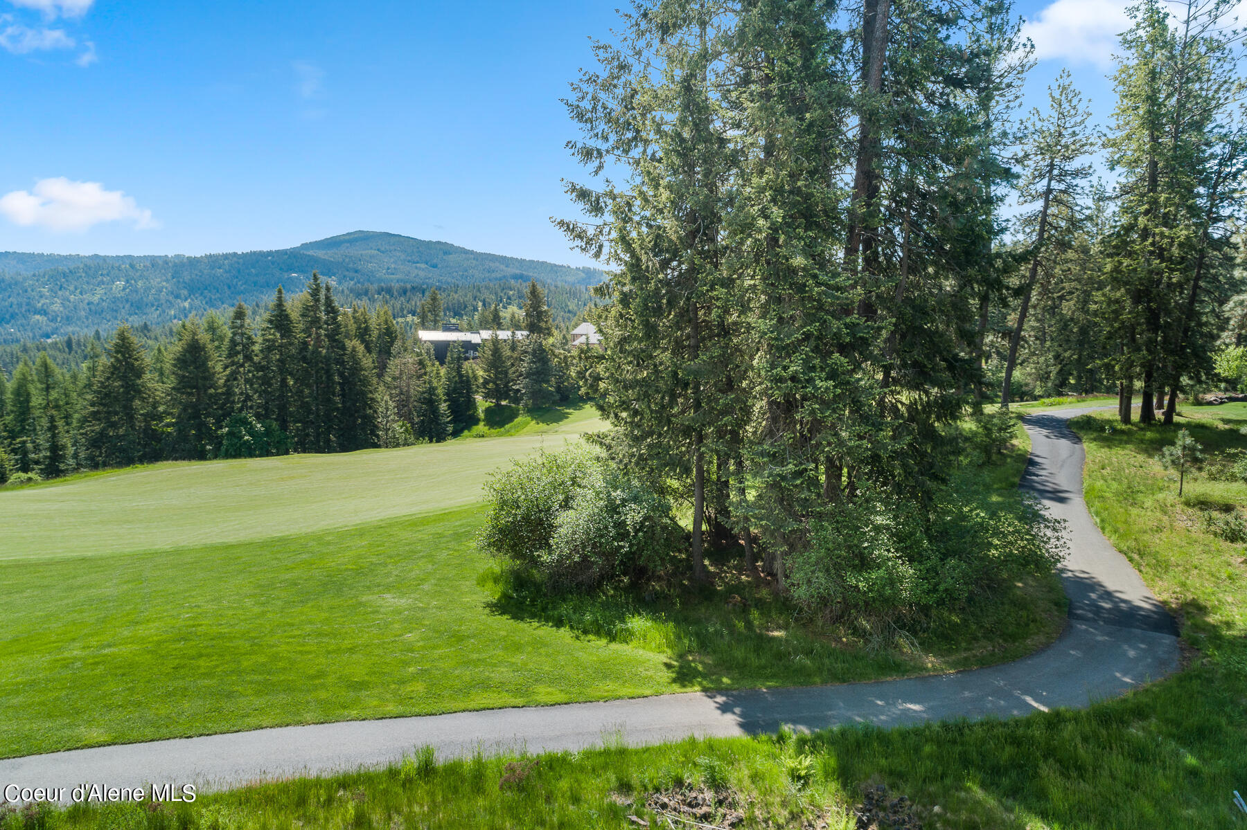 6528 South Old Barn Road Harrison, ID 83833 - Photo 7 of 18 Aerial_Lot207-5