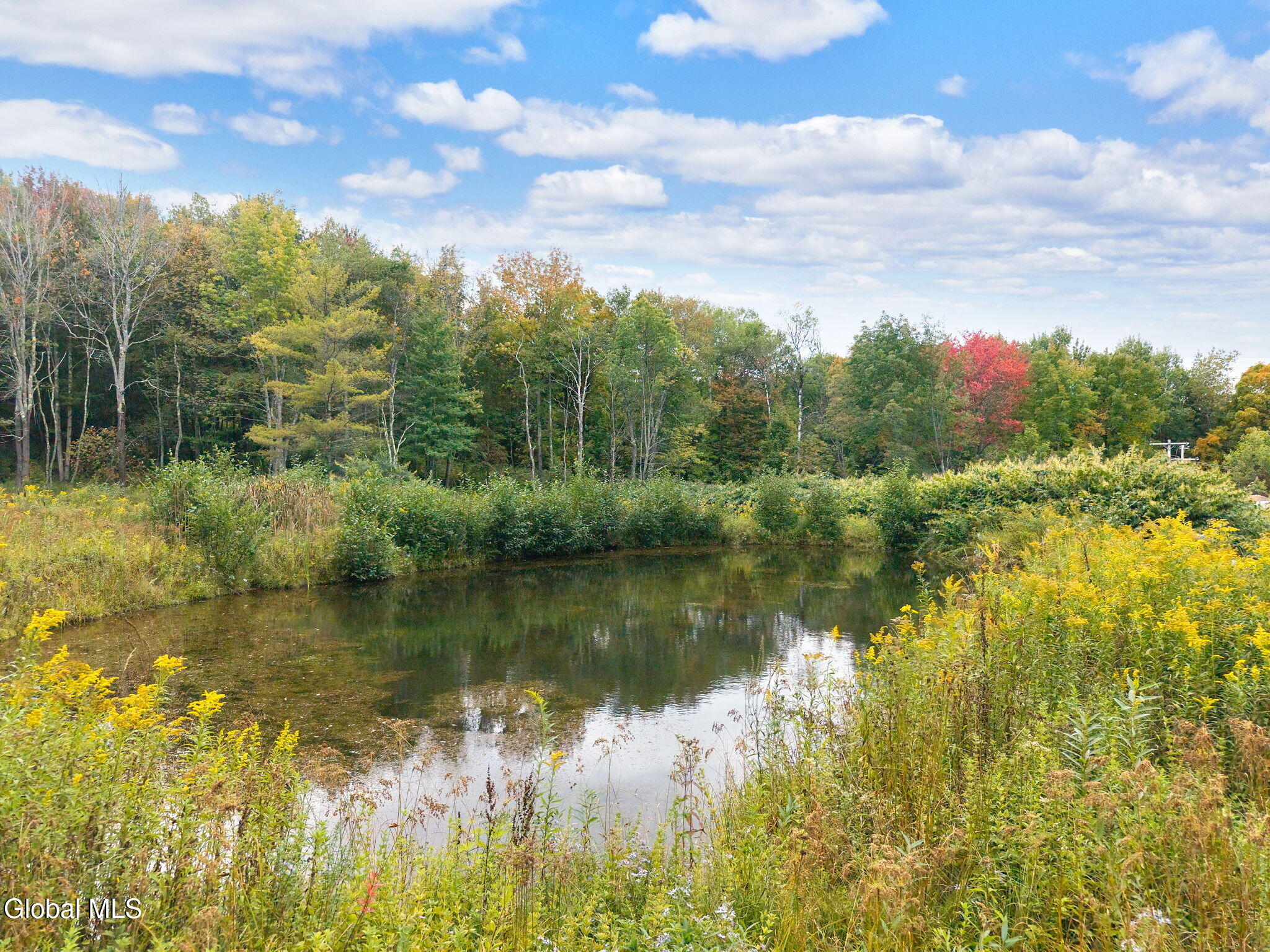 400 Stannard Road Summit, NY 12036 - Photo 35 of 45 35-400StannardRd_035
