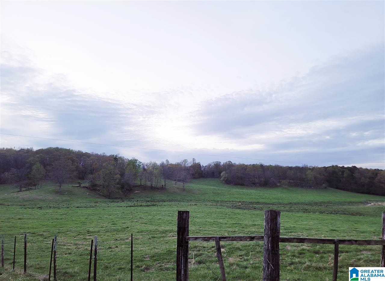 2182 Pitt Road, Unit 74 ACRES Blountsville, AL 35031 - Photo 2 of 3