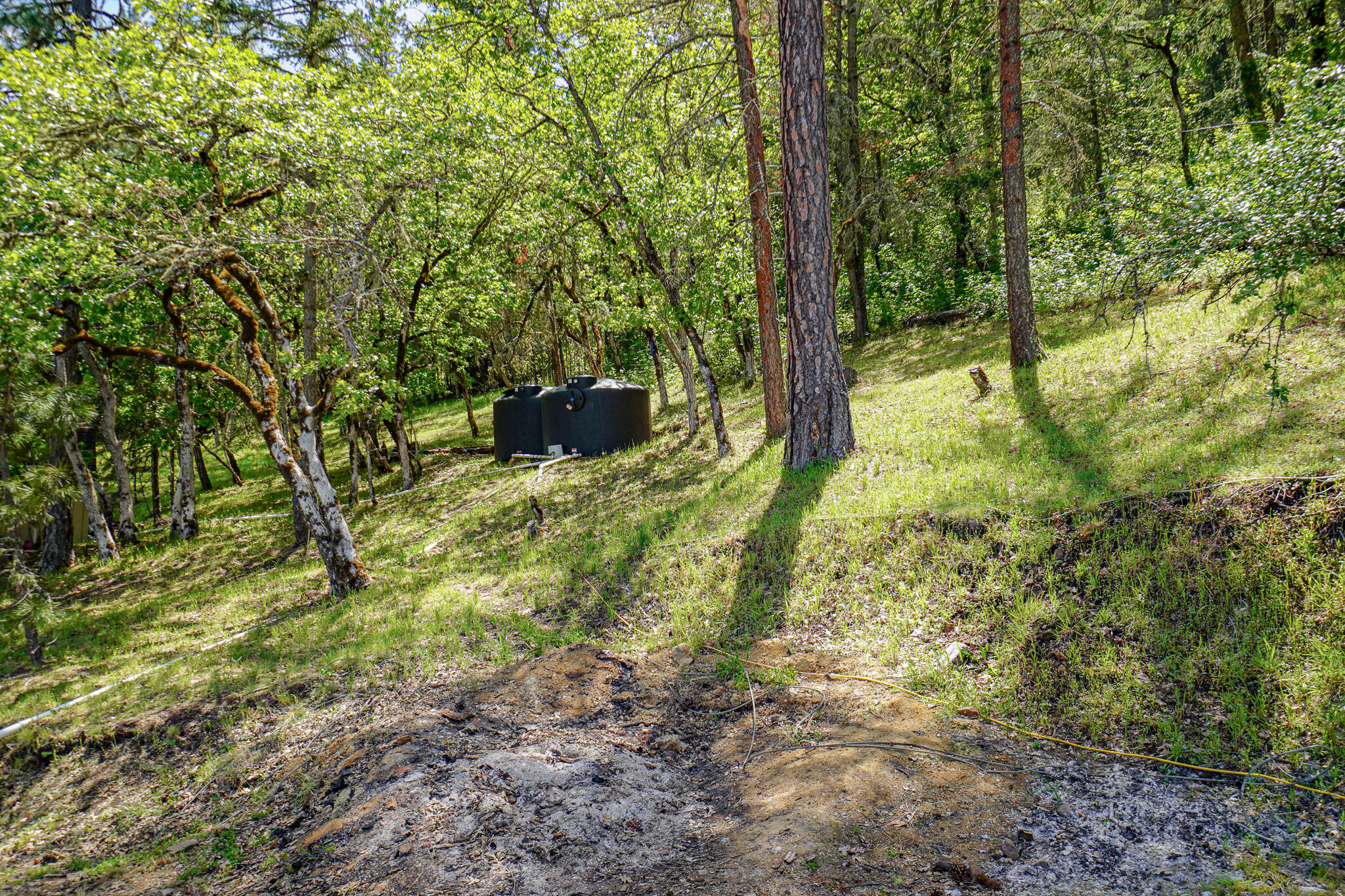 1729 Wren Ridge Drive Eagle Point, OR 97524 - Photo 16 of 21 DSC09555