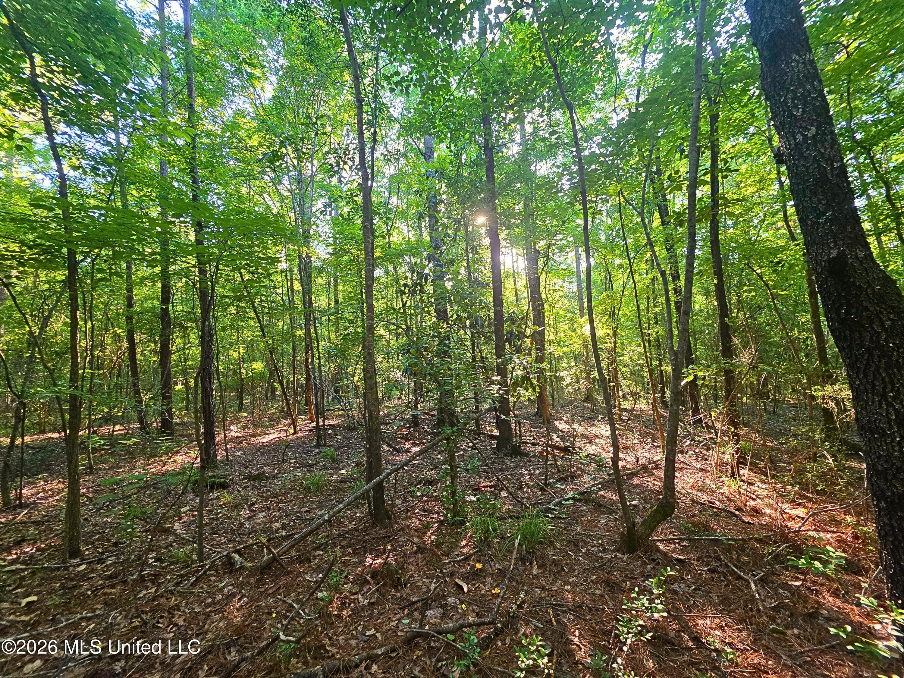 Hamilton Road Prentiss, MS 39474 - Photo 6 of 32 33645