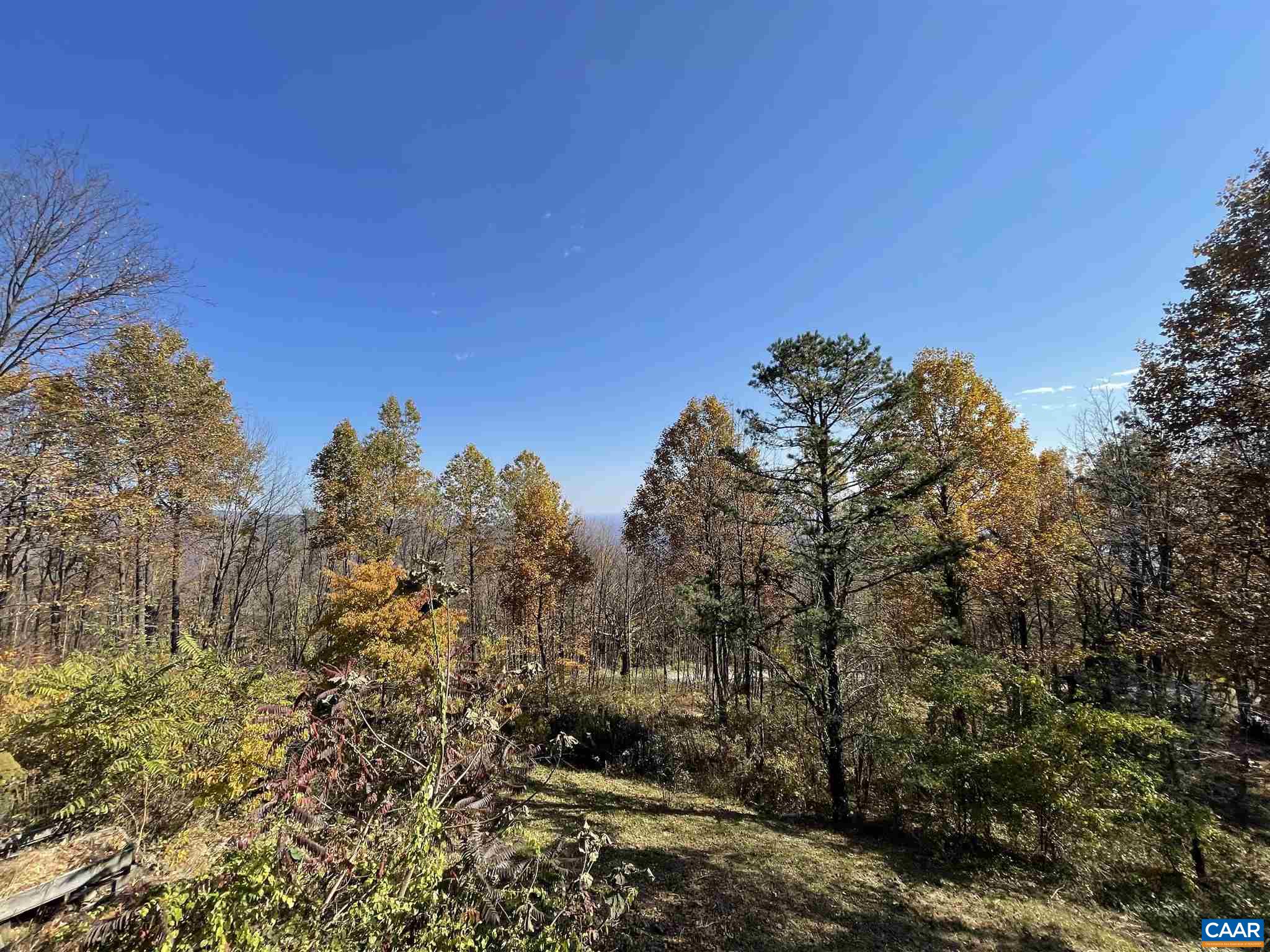 971 Flattop Mountain Road Free Union, VA 22940 - Photo 53 of 64 Gallery Image 53