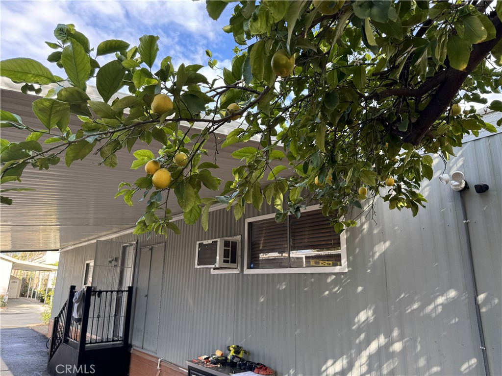 1025 South Riverside Avenue, Unit 66 Rialto, CA 92376 - Photo 36 of 53 a picture of tree