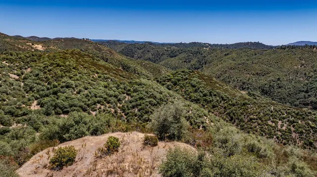 a view of a field with a mountain in the background