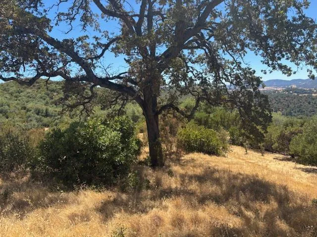a view of outdoor space with trees