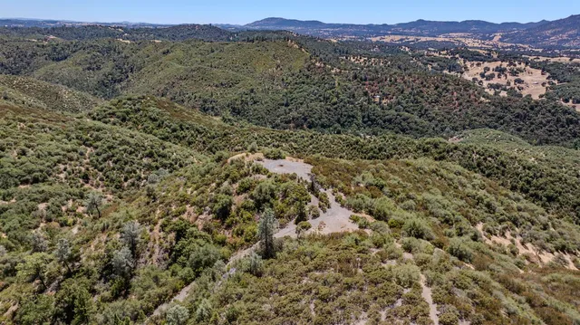 a view of a city with lush green forest