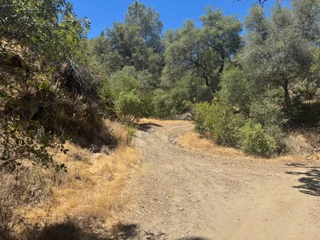a view of a yard covered in snow