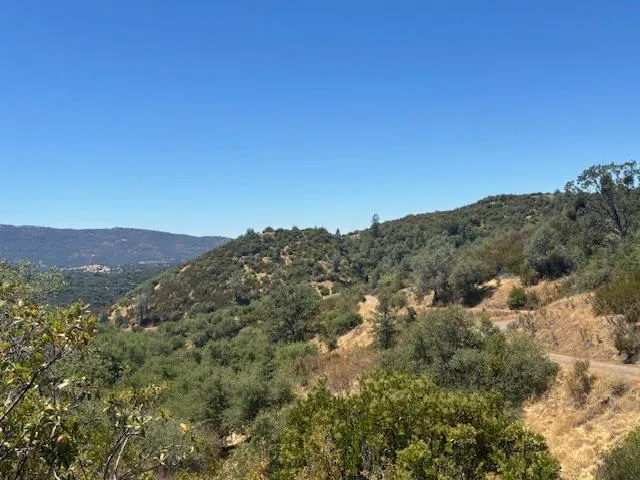 a view of a mountain range with trees in the background