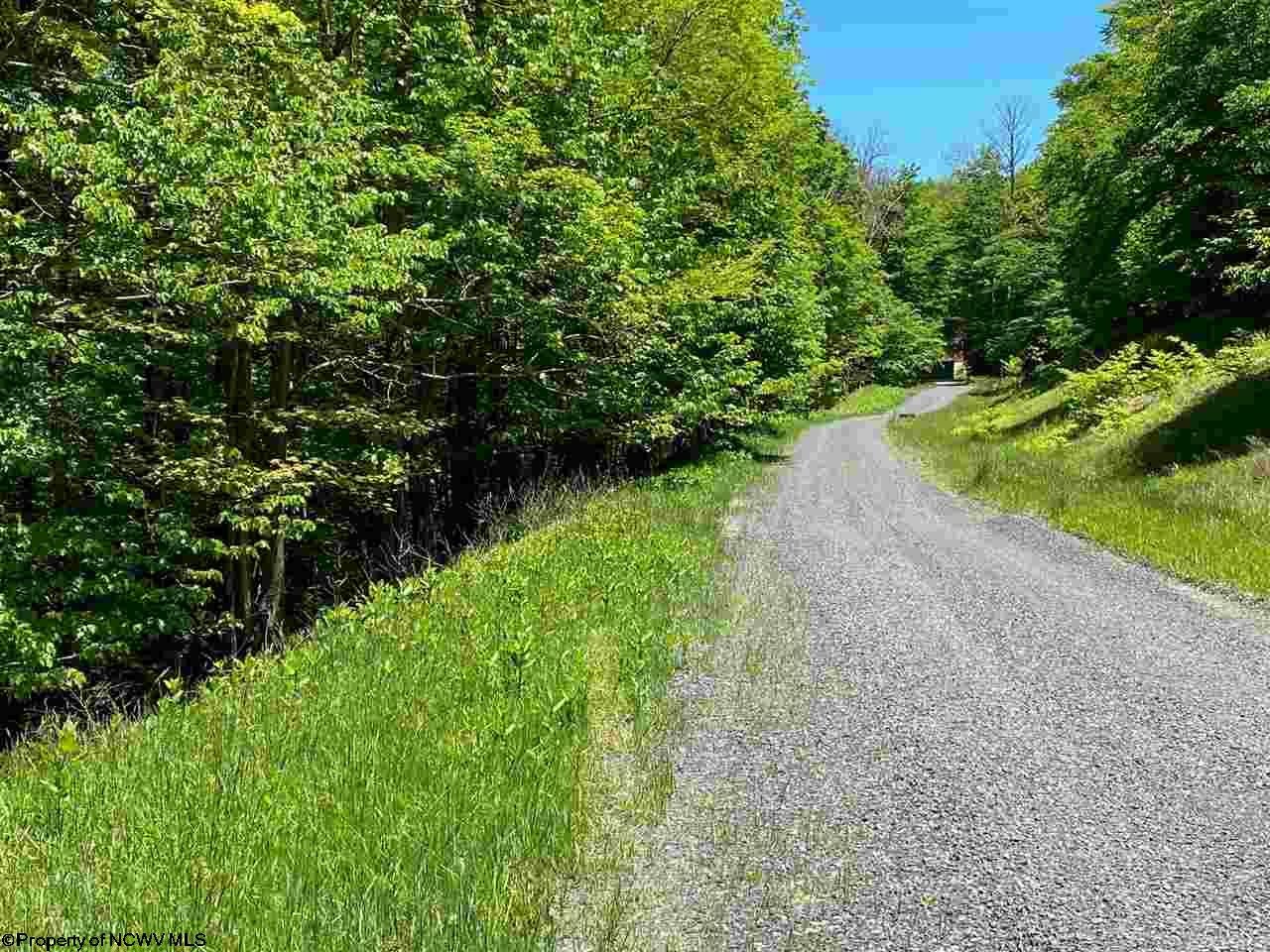 137 Ridge Davis Wv 26260 Davis, WV 26260 - Photo 10 of 12 Gallery Image 10