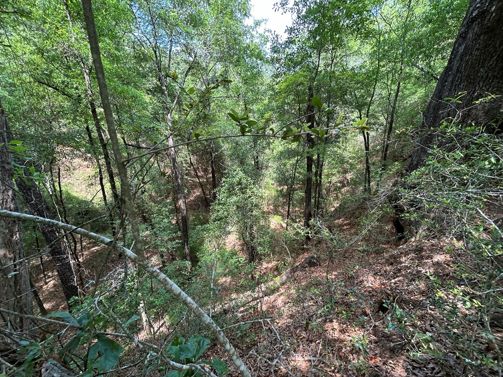 10907-44 -ac) Cty Road Hartford, AL 36344 - Photo 40 of 52