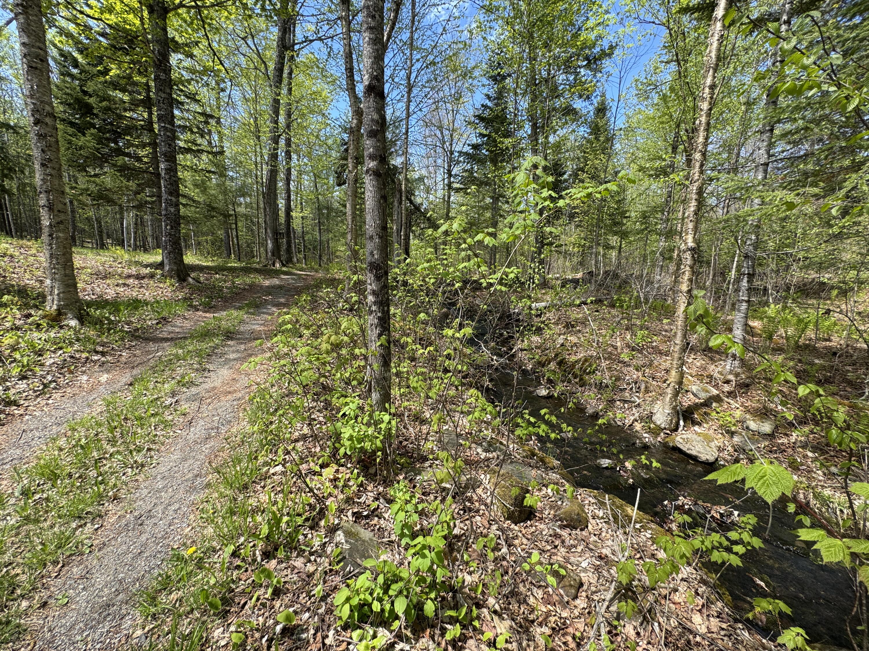 898 Sebec Village Road Sebec, ME 04481 - Photo 107 of 123 IMG_2412