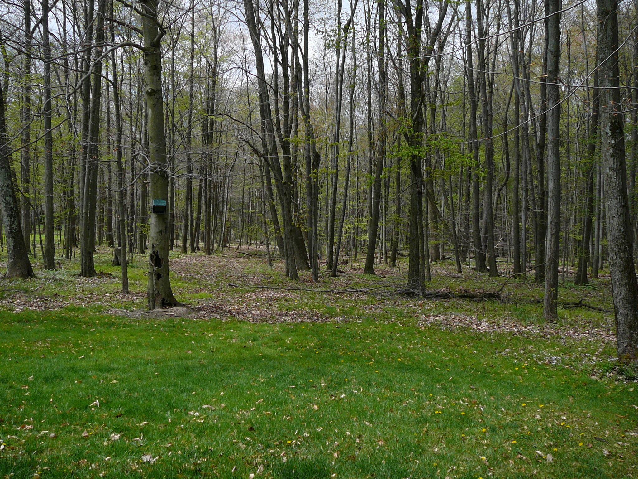 6725 Lane Road Centerburg, OH 43011 - Photo 80 of 107 Gallery Image 80