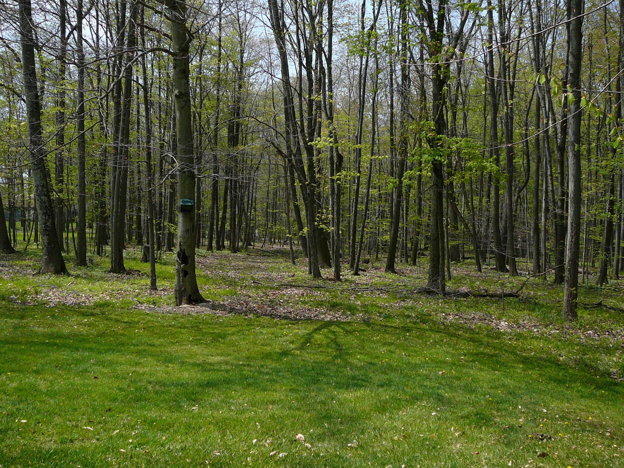 6725 Lane Road Centerburg, OH 43011 - Photo 81 of 107 Gallery Image 81
